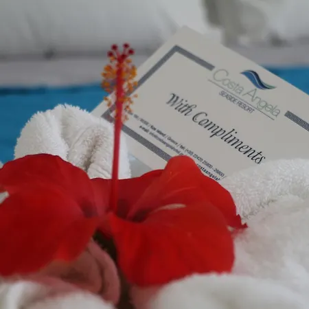 Costa Angela Seaside 3*
